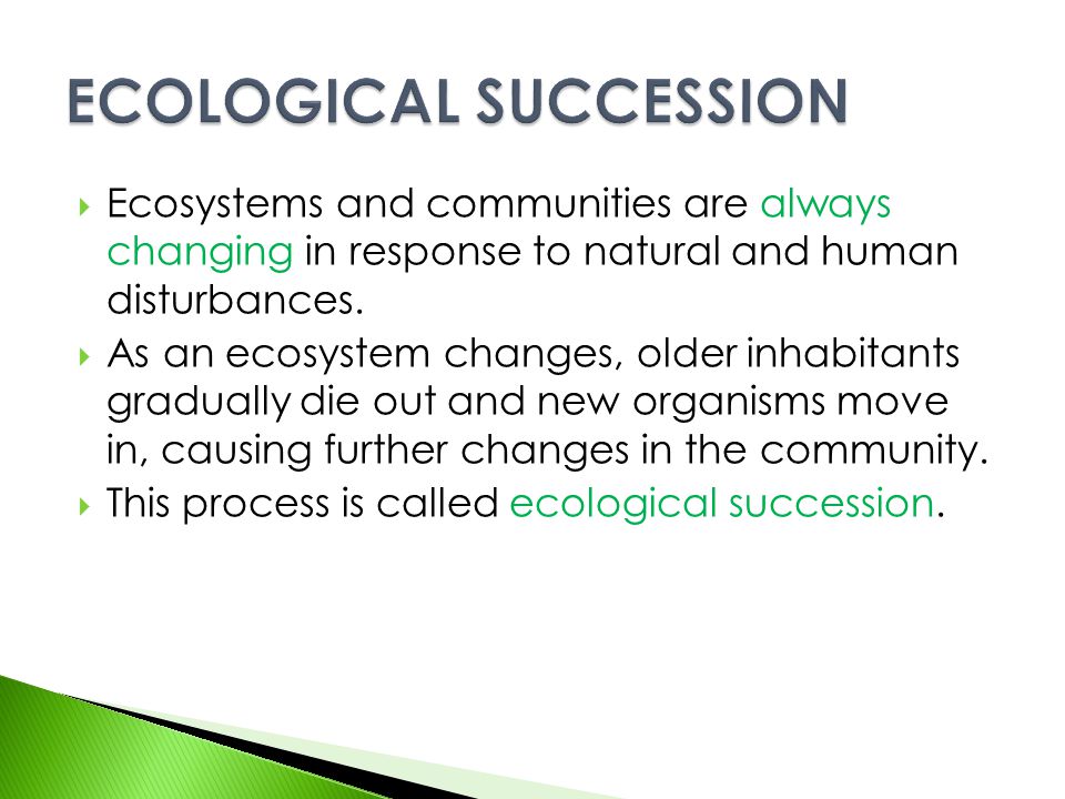 Ecological Succession